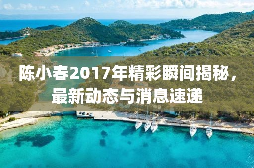 陈小春2017年精彩瞬间揭秘，最新动态与消息速递