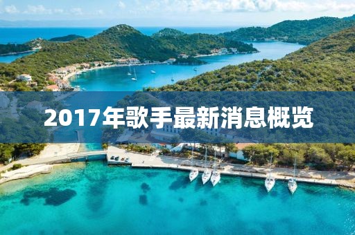 2017年歌手最新消息概览