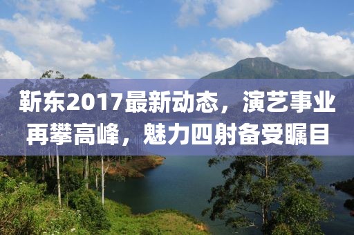 靳东2017最新动态，演艺事业再攀高峰，魅力四射备受瞩目