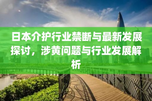 日本介护行业禁断与最新发展探讨，涉黄问题与行业发展解析