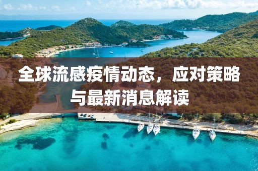 全球流感疫情动态，应对策略与最新消息解读