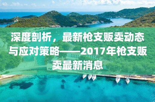 深度剖析，最新枪支贩卖动态与应对策略——2017年枪支贩卖最新消息