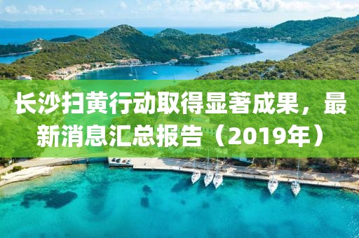 长沙扫黄行动取得显著成果，最新消息汇总报告（2019年）