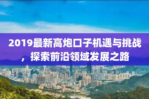 2019最新高炮口子机遇与挑战，探索前沿领域发展之路