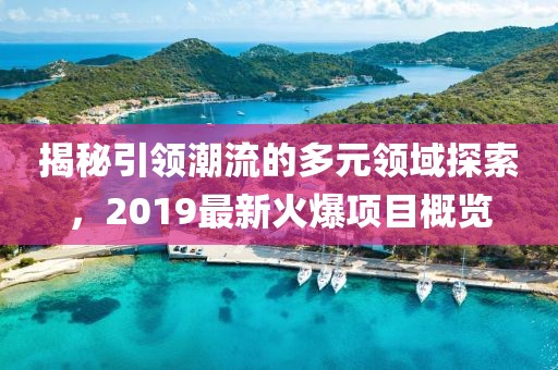 揭秘引领潮流的多元领域探索，2019最新火爆项目概览