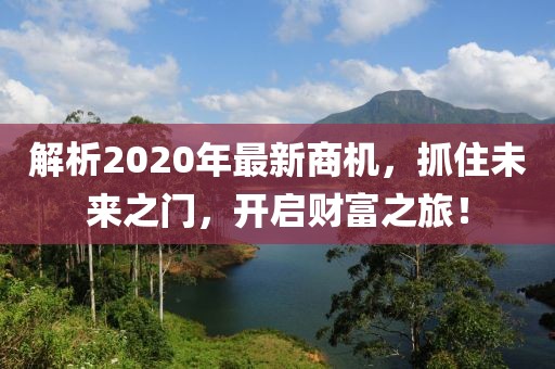 解析2020年最新商机，抓住未来之门，开启财富之旅！