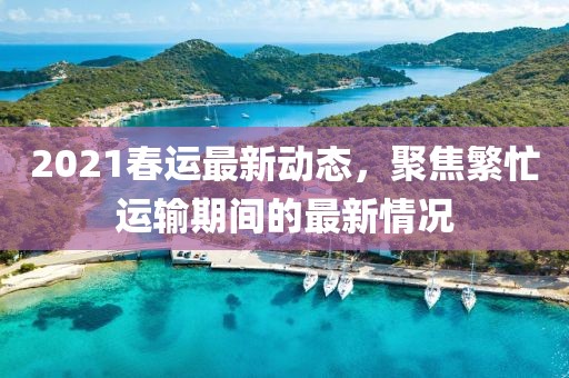 2021春运最新动态，聚焦繁忙运输期间的最新情况