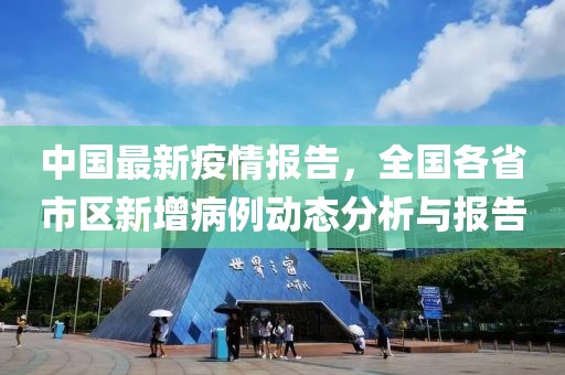 中国最新疫情报告，全国各省市区新增病例动态分析与报告