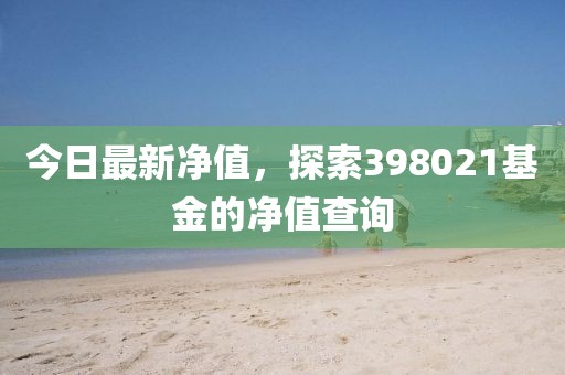 今日最新净值，探索398021基金的净值查询