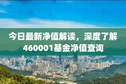 今日最新净值解读，深度了解460001基金净值查询