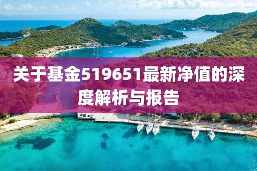 关于基金519651最新净值的深度解析与报告