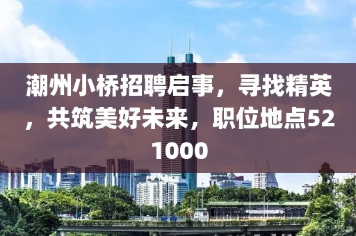 潮州小桥招聘启事，寻找精英，共筑美好未来，职位地点521000