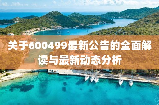 关于600499最新公告的全面解读与最新动态分析