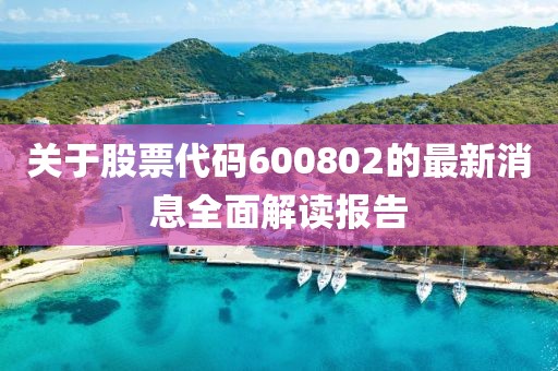 关于股票代码600802的最新消息全面解读报告