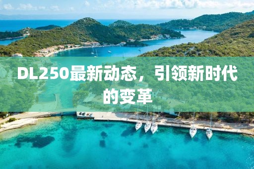 DL250最新动态，引领新时代的变革