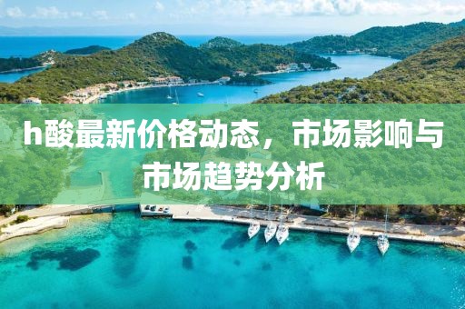 h酸最新价格动态，市场影响与市场趋势分析