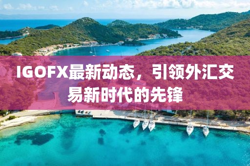 IGOFX最新动态，引领外汇交易新时代的先锋