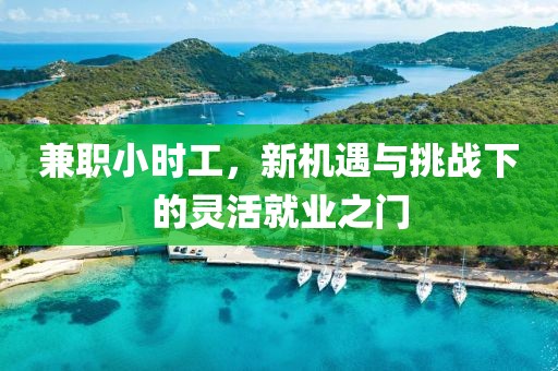 兼职小时工，新机遇与挑战下的灵活就业之门