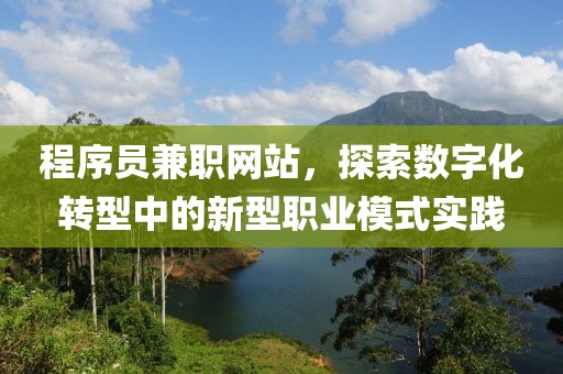 程序员兼职网站，探索数字化转型中的新型职业模式实践