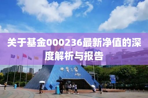 关于基金000236最新净值的深度解析与报告