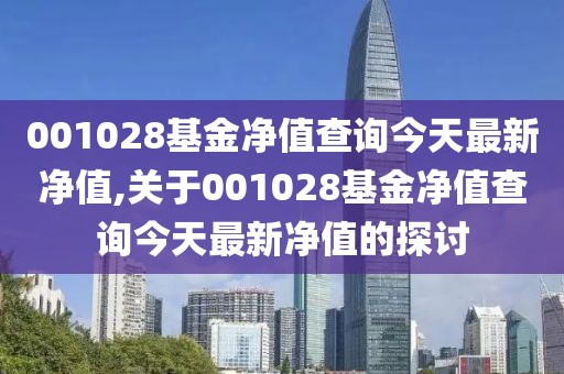 001028基金净值查询今天最新净值,关于001028基金净值查询今天最新净值的探讨