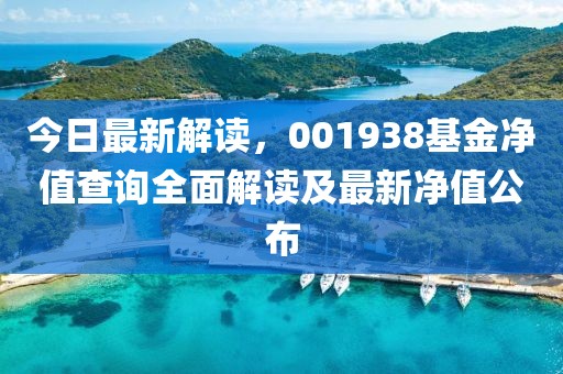 今日最新解读，001938基金净值查询全面解读及最新净值公布