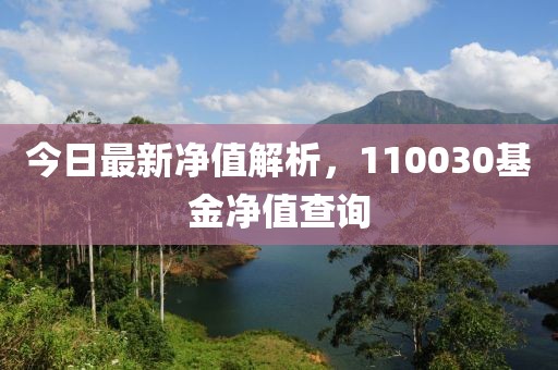 今日最新净值解析，110030基金净值查询