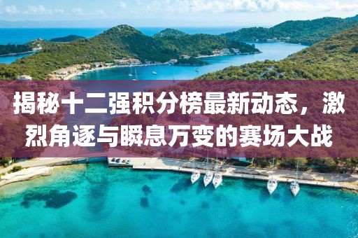 揭秘十二强积分榜最新动态，激烈角逐与瞬息万变的赛场大战