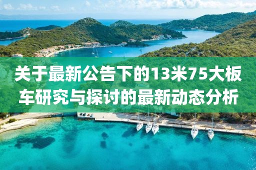 关于最新公告下的13米75大板车研究与探讨的最新动态分析