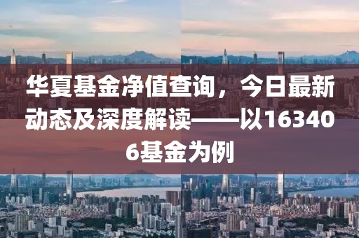 华夏基金净值查询，今日最新动态及深度解读——以163406基金为例