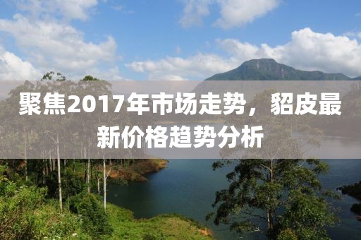 聚焦2017年市场走势，貂皮最新价格趋势分析