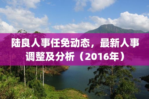 陆良人事任免动态，最新人事调整及分析（2016年）