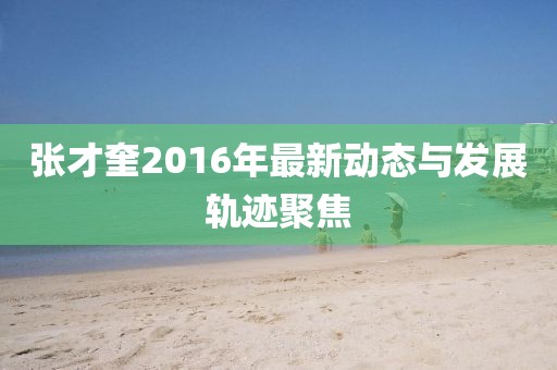 张才奎2016年最新动态与发展轨迹聚焦