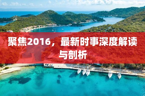 聚焦2016，最新时事深度解读与剖析