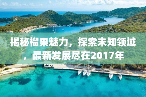 揭秘榴果魅力，探索未知领域，最新发展尽在2017年