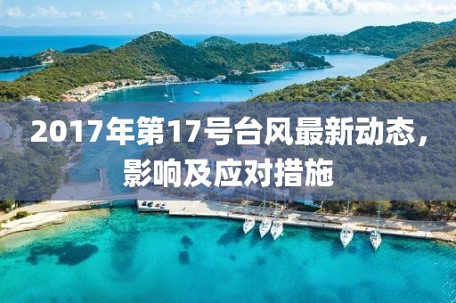 2017年第17号台风最新动态，影响及应对措施